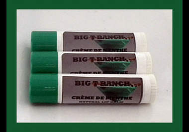 make you an awesome, all natural beeswax lip balm with free shipping big3