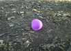 send you 10 random photos of things I find interesting during my day small3