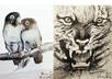 draw a Cute PORTRAIT of Your Pet or any Animal in Pen or Pencil small3
