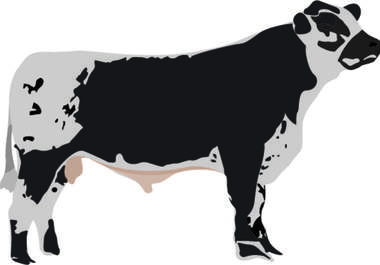 vectorize ANYTHING from your images big3
