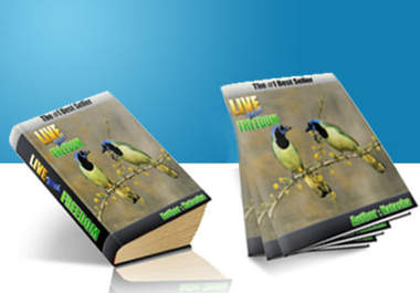 create High Quality, PROFESSIONAL ecover/box, dvd, cd cover big3