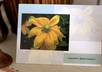 send a floral greeting card with a handwritten message in English to anyone in the world small3