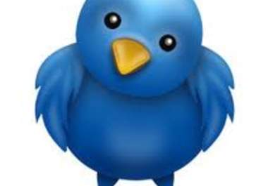 give you 3 twitter accounts with at least 600 followers per account big3