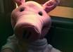 as a dancing pig puppet Promote and send greetings small3