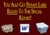 give you my special report with 100 article writing ideas with PLR included small3