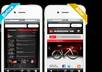 convert your website to become mobile optimized small3