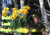 be your magical Leprechaun on video small3