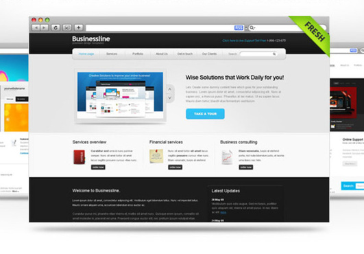 create a cool optimized professional website for you with information provided by you big3