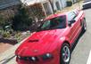 advertise your business on my Mustang for 48 hrs in the San Francisco Bay Area small3