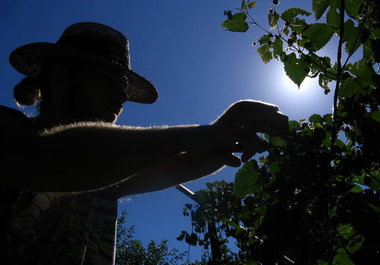 answer one question about beer, brewing or growing hops big3
