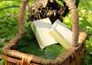 send You a Bar of Organic Hemp Soap small3