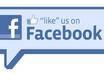 add 250+ Facebook Likes or Fans within 72 hours to your Fanpage without admin access small3
