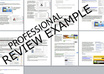 offer you a PROFESSIONAL website review and advice small3