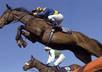 show you how to make 200 dollars a week from horse racing betting small1