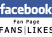 give Real Verified 150+ Fans or Likes On Your Fanpage small1