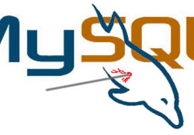i WILL TEACH SQL LANGUAGE <BASIC SENTENCES/SOTRE PROCEDURES,TRIGGERS,VIEWS>(HALF HOUR) big1