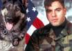 give you dog training advice from basic OB, potty training, agression training or scent detection small1