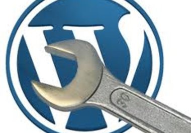 setup and host for 1 year wordpress script big1