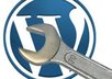 setup and host for 1 year wordpress script