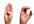 teach you basic American Sign Language