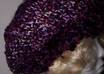 crochet a one of a kind beanie hat