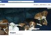 resize your image for the Facebook Cover Photo small1