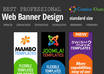 create a Best Professional Web Banner Design