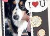 decorate your photo with scrapbook style