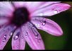 find you royalty free images in high resolution with no watermarks