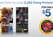 give you over 2,300 funny pictures to increase engagement on your social media account like Facebook Twitter Pinterest Instagram etc