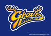 special logo MAKE for your bussiness and everything