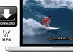 download your video from a website