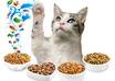 eat CAT food small1