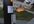 advertise your site or business around St Thomas and The University of Minnesota