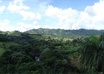 create a panorama picture of your pictures