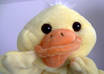 make an HD commercial as this cute yellow duck small1