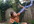 shoot a LIGHTNING bolt into the sky revealing your message in a robin hood costume