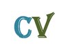 write professional CV