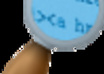 monitor your website and provide statistics