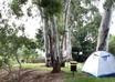 plan your camping trip in Israel