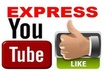 give you 1000+ YouTube Likes in 24 to 48 HRS And 10 youtub views
