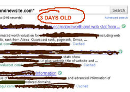 submit your website to 25 site valuing and information sites for quick indexing and backlinks big1