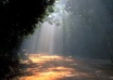 give you an amazingly accurate psychic reading on you future