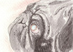 create a small painting of your Pug from your photo small1