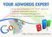 find your Competitors PPC or Organic Keywords on Google Adwords Network small1