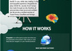 create an infographic