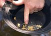 show You How to Prospect For Gold