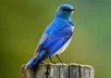 give you my twitter marketing guide small1