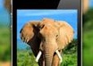 add your website logo pic in 20 image sharing sites