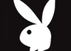 Pb_bunny